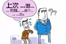 西安为什么选择专业追讨公司来处理您的债务纠纷？